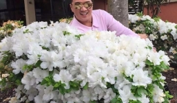 Facebook sao Việt: Những lời chúc mừng ngày 8/3 của sao Việt nhé